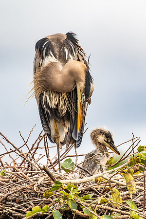 MOM & BABY